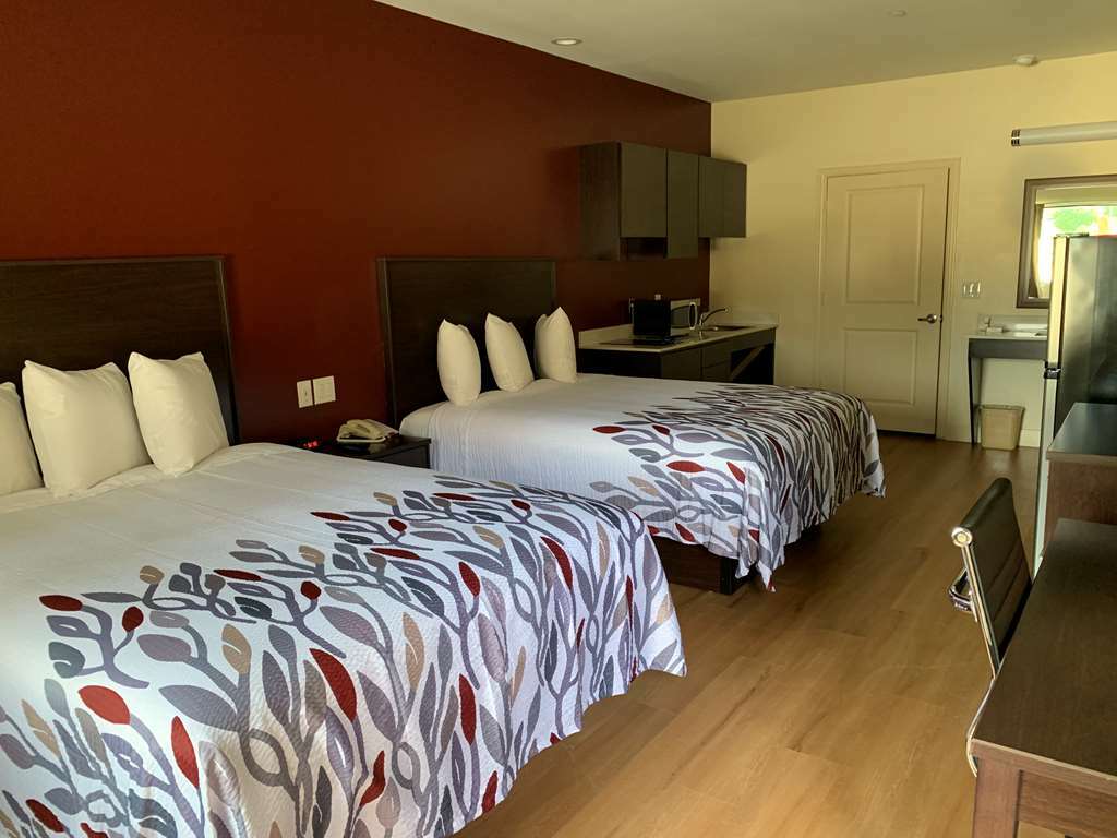 Red Roof Inn Houston - Willowbrook Louetta Habitación foto